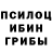 Галлюциногенные грибы Psilocybine cubensis Lev Garipov