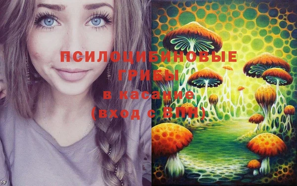 крисы Иннополис