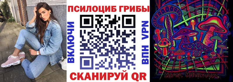 Псилоцибиновые грибы Psilocybine cubensis  Ноябрьск 