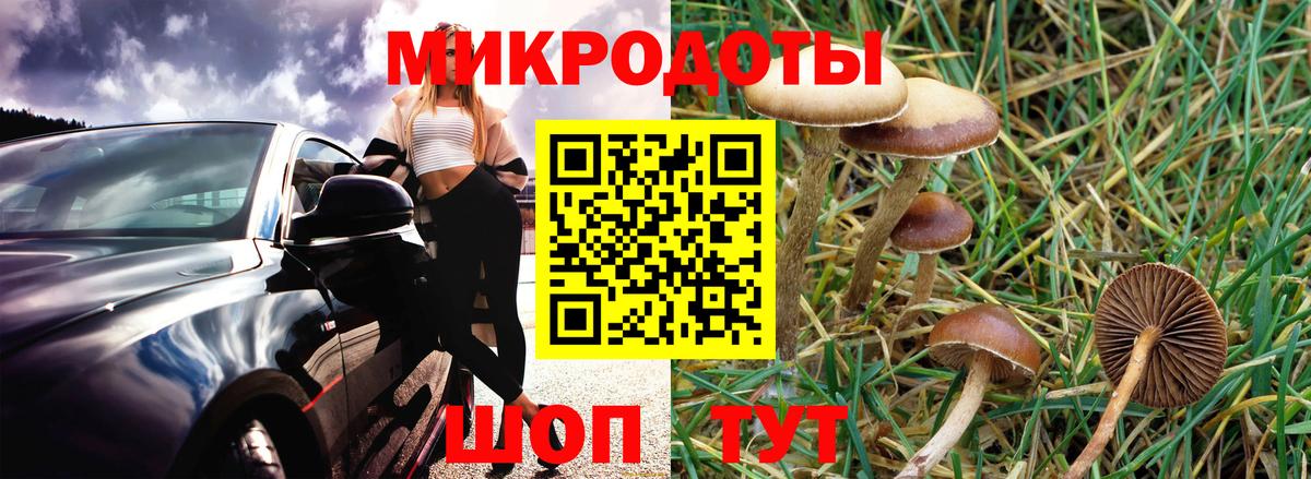 Псилоцибиновые грибы мухоморы Ноябрьск