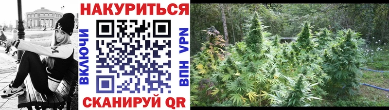 Бошки Шишки план Ноябрьск